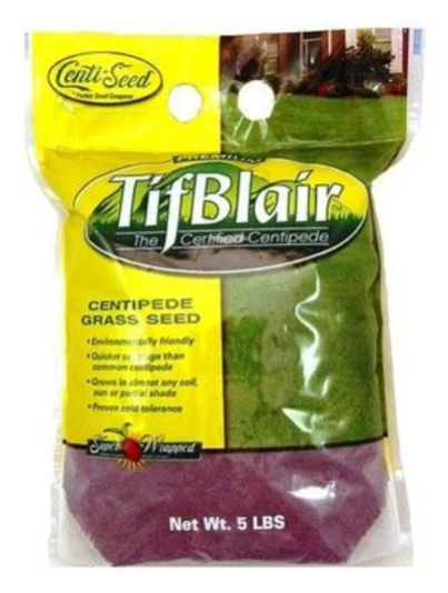 plant centipede seed Tifblair Centipede Grass Seed (Certified)