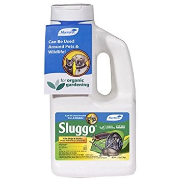Sluggo Insecticide - 2.5 lbs.