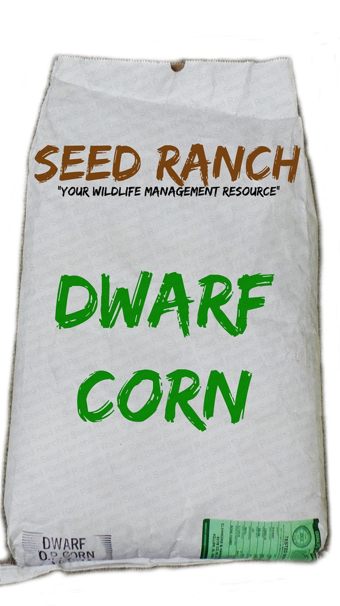 Corn Food Plot Seed (Dwarf) - 5 Lbs.