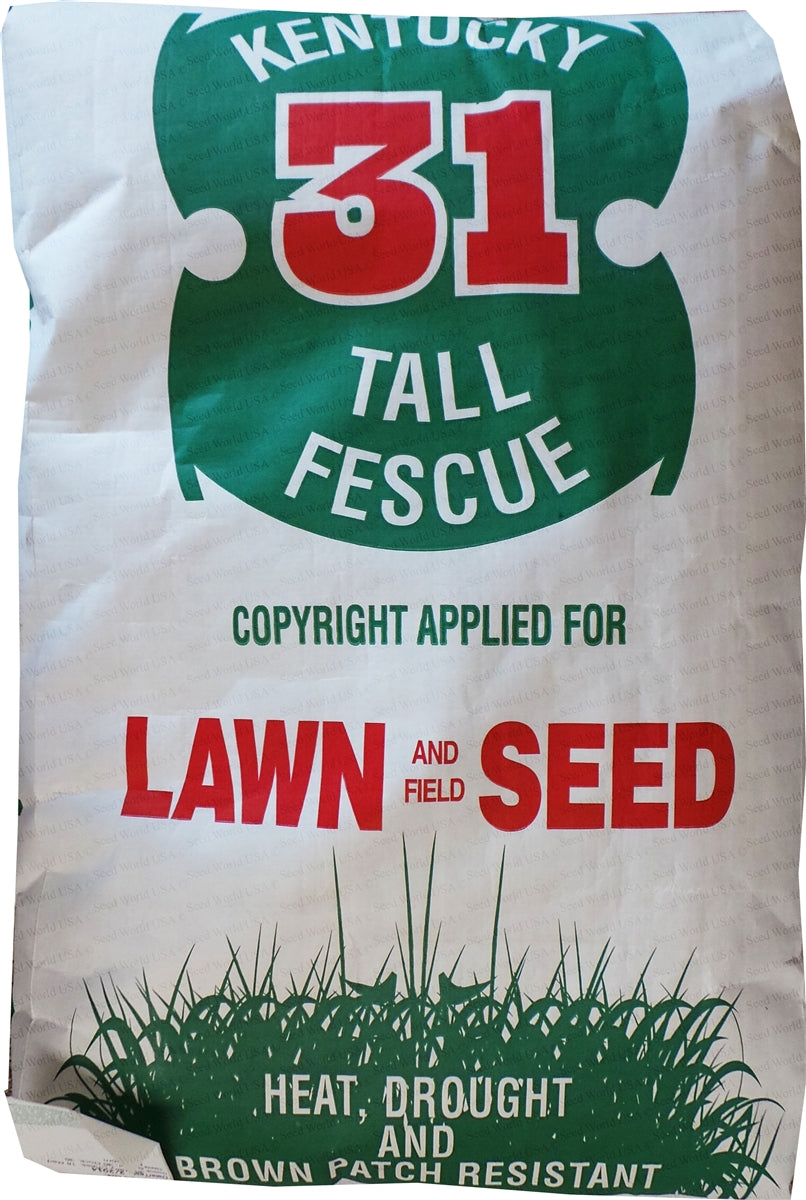 SeedRanch Kentucky 31 Tall Fescue Grass Seed - 50 Lbs.