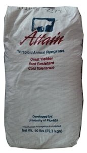 Attain Tetraploid Annual Ryegrass Seed - 1 Lbs. - Seed Barn