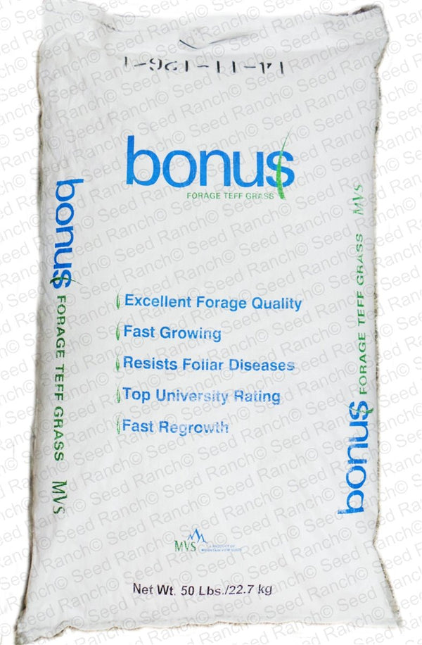 Bonus Forage Teff Grass Seed 50 Lbs. Seed Barn