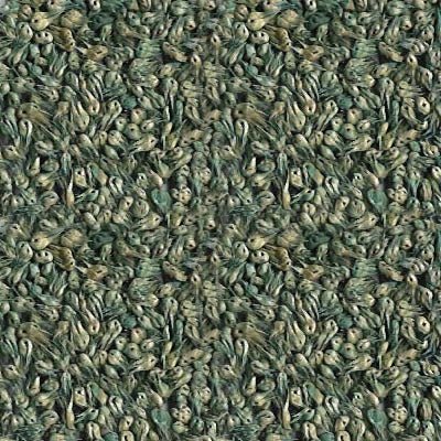 buffalo grass seed lowe's Buffalo Grass Seed