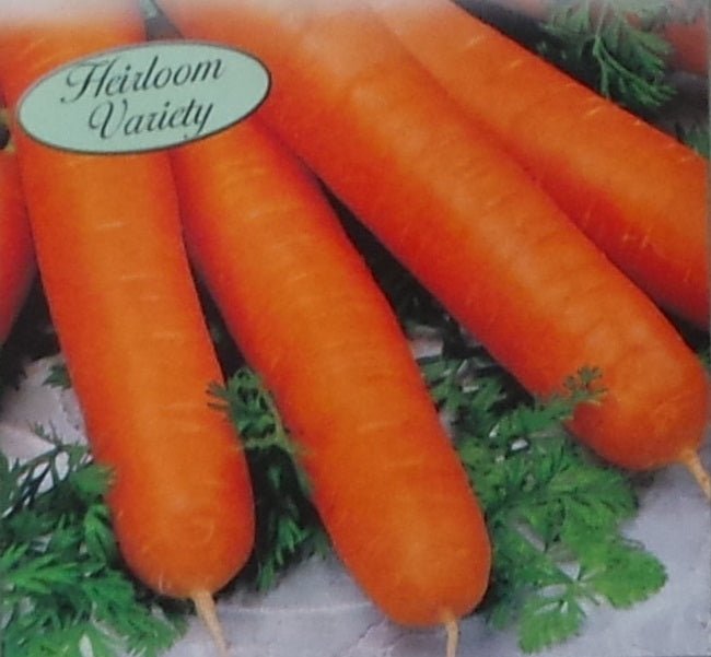 Carrot Nantes Coreless Seed Heirloom - 1 Packet - Seed Barn