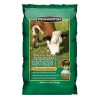 Cheyenne II Bermuda Grass Seed - 10 lbs - Seed Barn