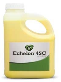 sulfentrazone 4sc herbicide Echelon 4SC Herbicide