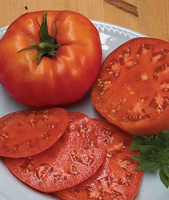 planting beefsteak tomatoes from seed Tomato Beefsteak Seed Heirloom - 1 Packet