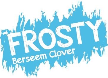Frosty Berseem Clover Seed - 1 Lb. - Seed Barn