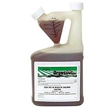 clethodim herbicide for sale Grass Out Max (Clethodim Herbicide)