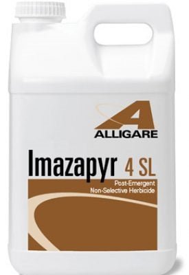 impact z herbicide Imazapyr 4 SL Herbicide - 1 Gallon