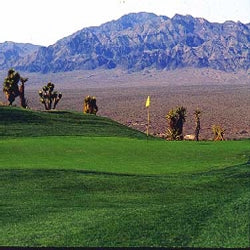 Clubhouse GQ Perennial Ryegrass