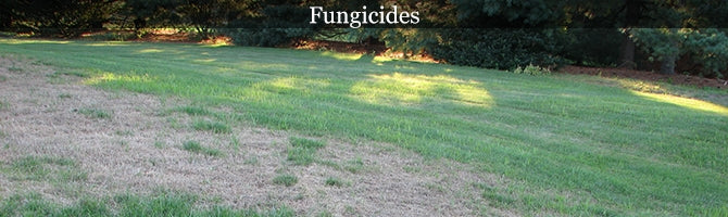 Fungicides