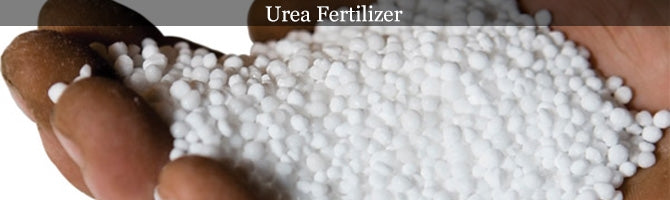 Urea Nitrogen Fertilizer