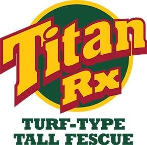 Titan RX Tall Fescue