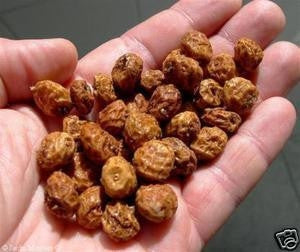Chufa Seed