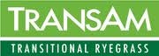 TransAm Intermediate Ryegrass Seed