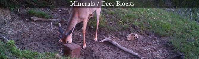 Minerals / Deerblocks