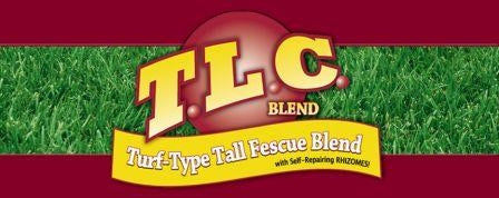 T.L.C Tall Fescue