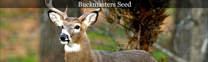Buckmasters Wildlife Seed