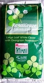 Ladino Clover Seed (Regal Graze)