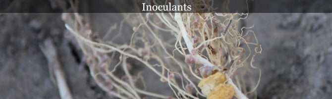 Inoculants