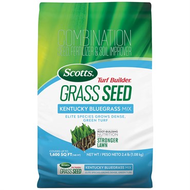 Scotts Turf Builder Kentucky Bluegrass Seed
