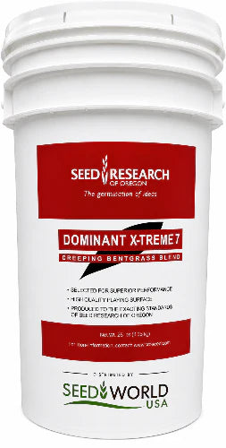 Dominant X-Treme 7 Creeping Bentgrass Seed