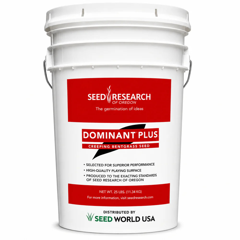 Dominant Plus Creeping Bentgrass Seeds