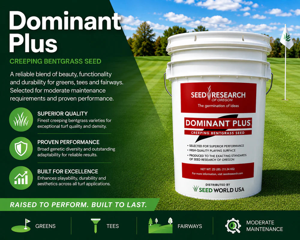Dominant Plus Creeping Bentgrass Seeds