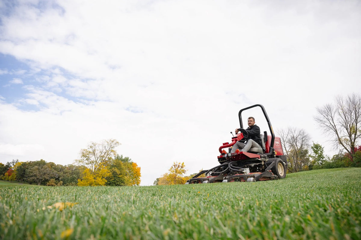 After Midnight Kentucky Bluegrass Seed