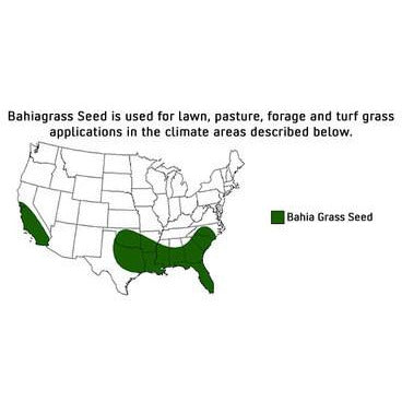 Tifquik Bahia Grass Seed (Certified) - 40 Lbs.