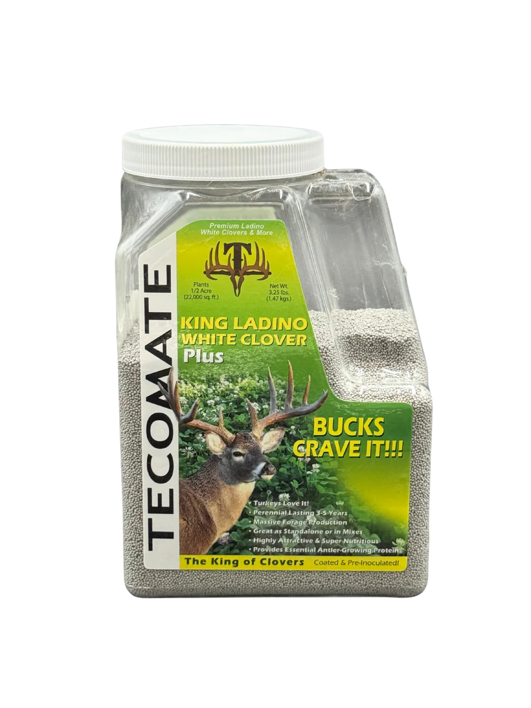 Tecomate King Ladino White Clover