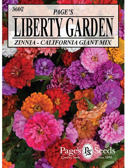 Zinnia California Giant Mix Seed - 1 Packet