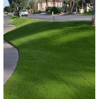 (Backorder Until Spring 2026) NuSprint Turf Annual Ryegrass Seed