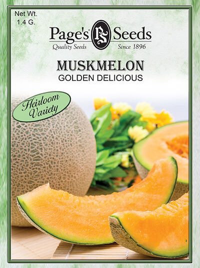 Muskmelon Golden Delicious - 1 packet