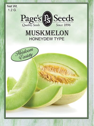 Muskmelon Honeydew - Packet