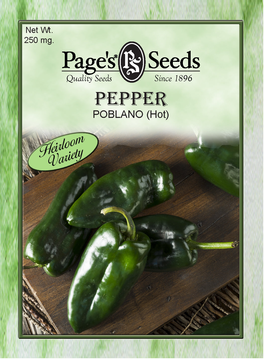 Poblano Hot Pepper Seeds - 1 Packet