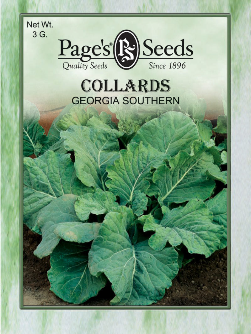 Collard Greens - Georgia Southern Heirloom Seed - Packet