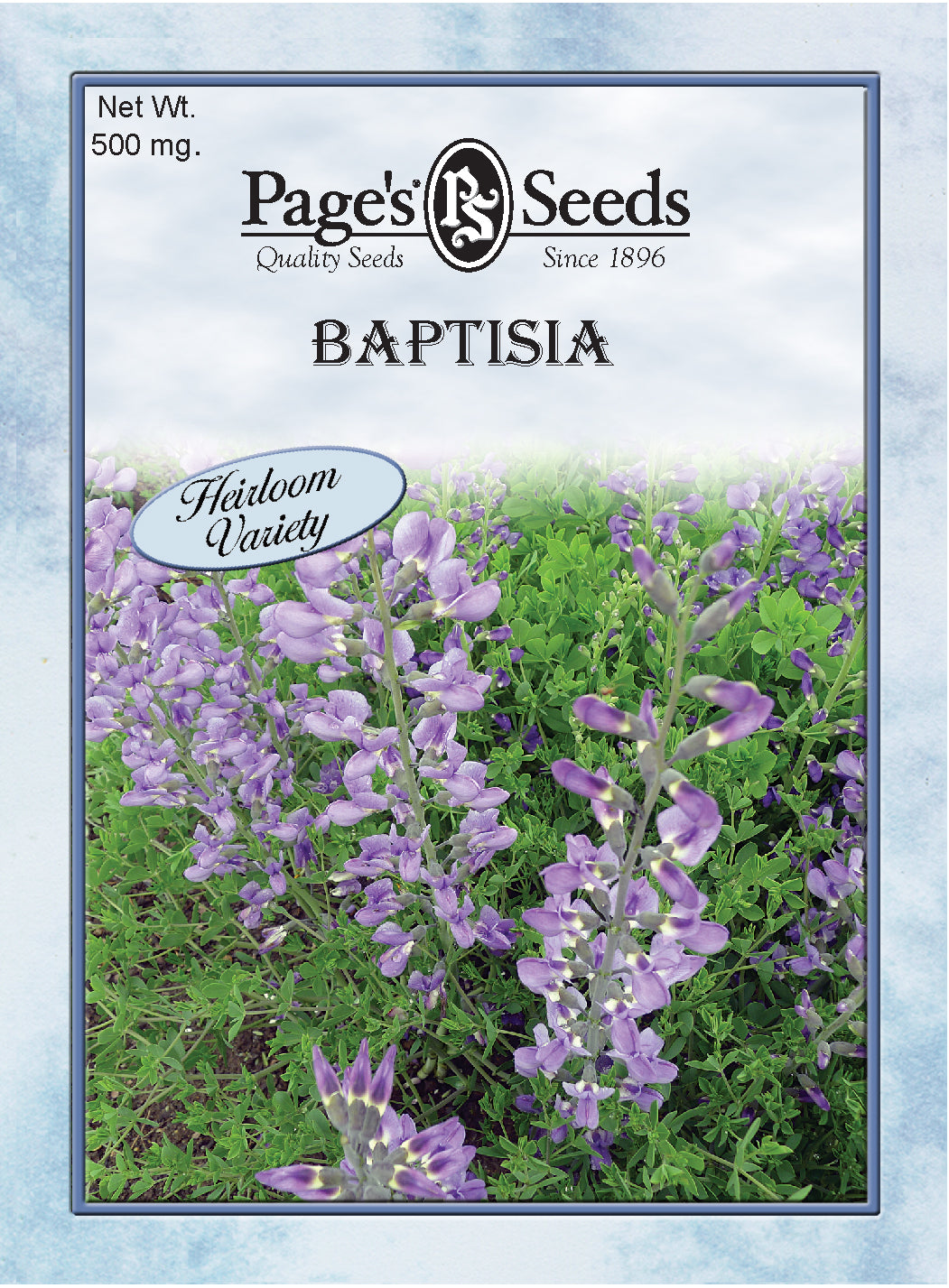 Baptisia, Blue Wild Indigo Seeds - 1 Packet