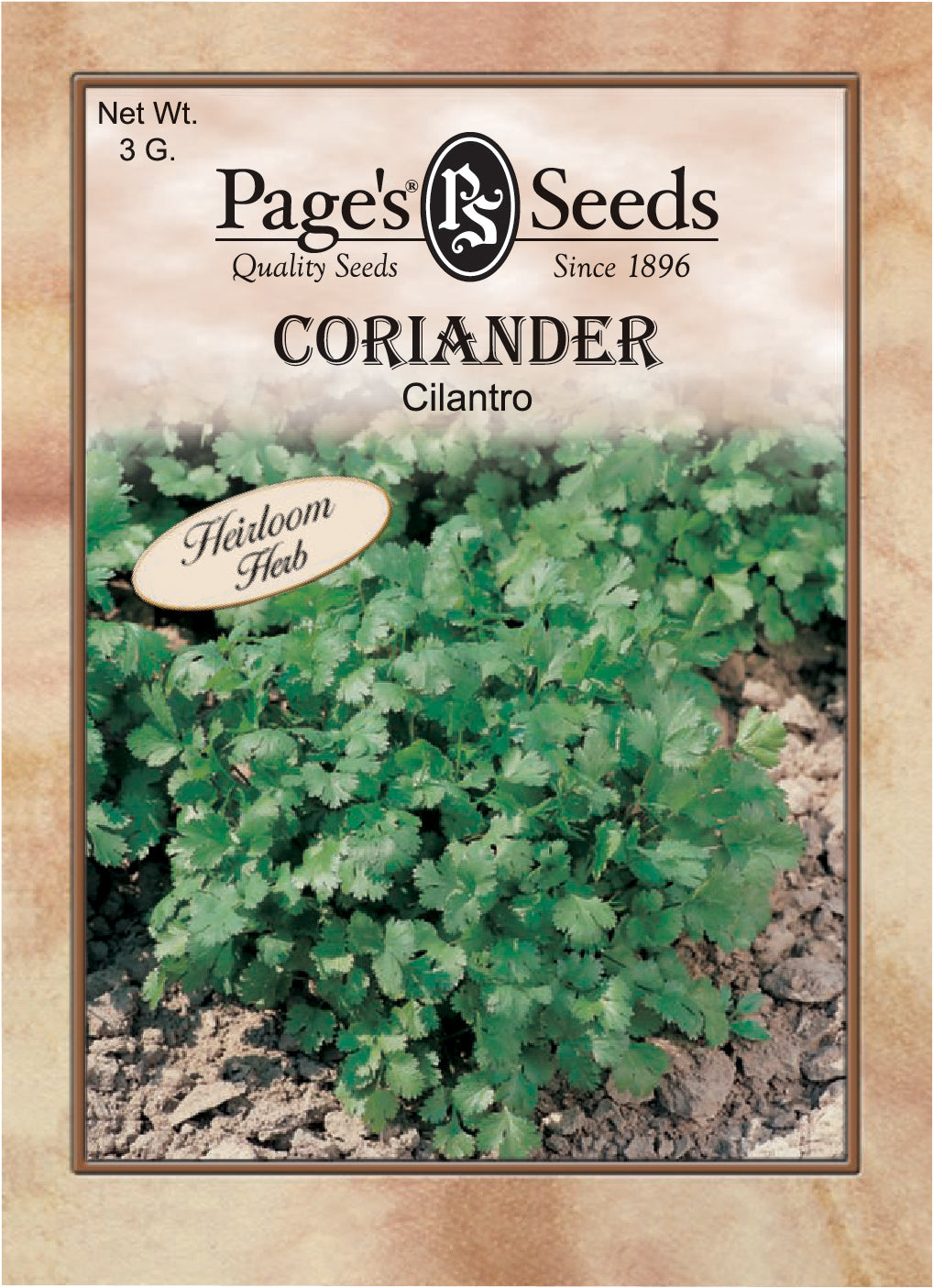 Coriander Cilantro Herb Seed - 1 Packet