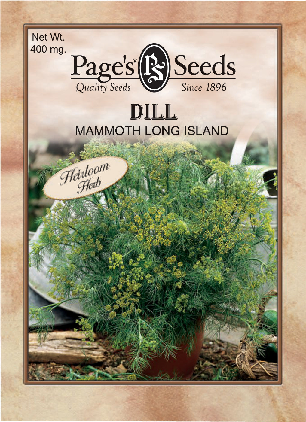 Dill Mammoth Long Island Seeds - 1 Packet