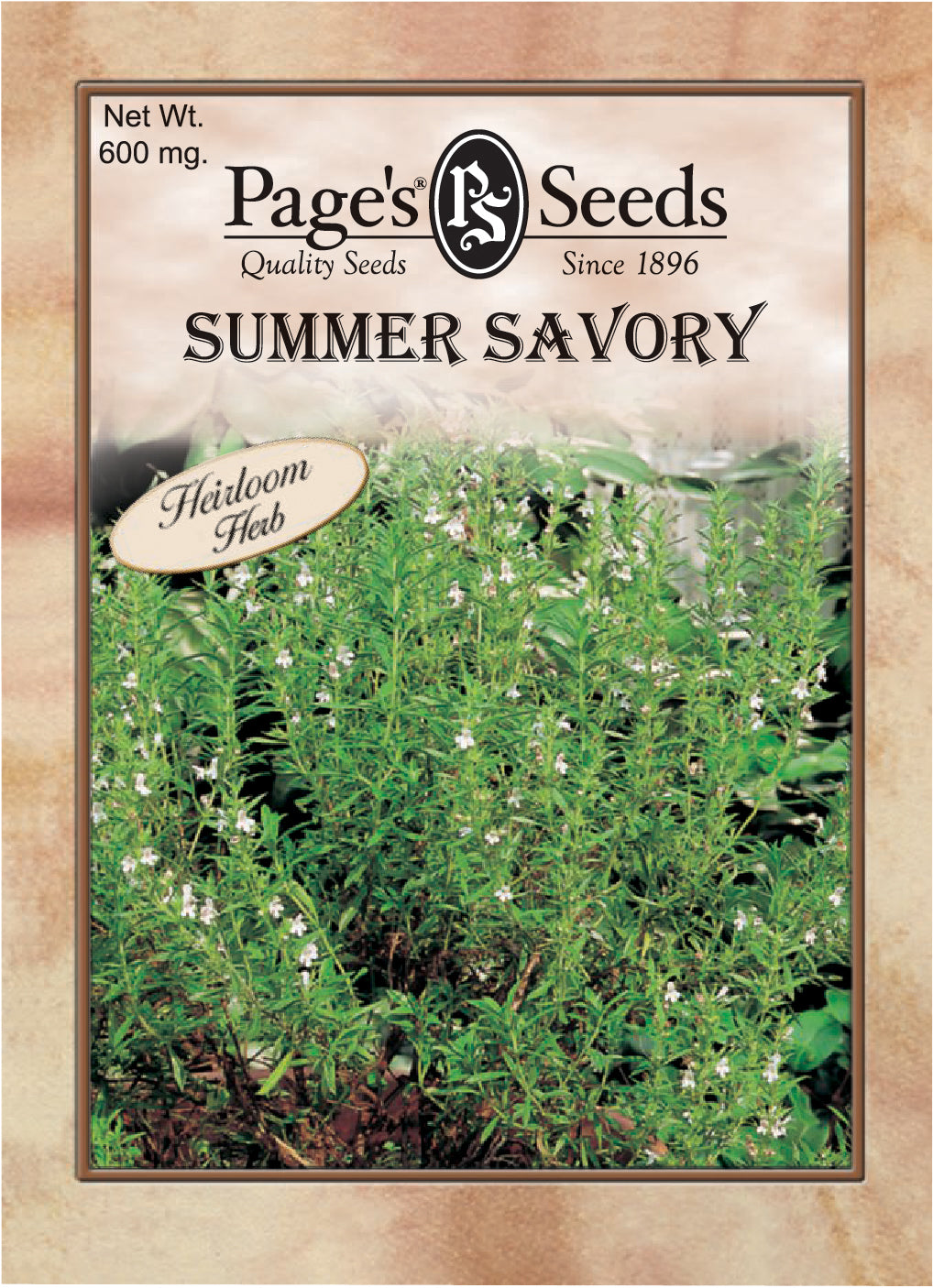 Summer Savory Seeds Heirloom - 1 packet