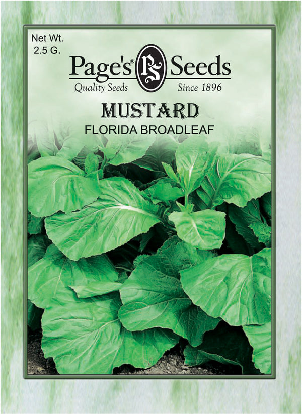 Mustard Florida Broadleaf Seeds - 1 Packet - Seed Barn