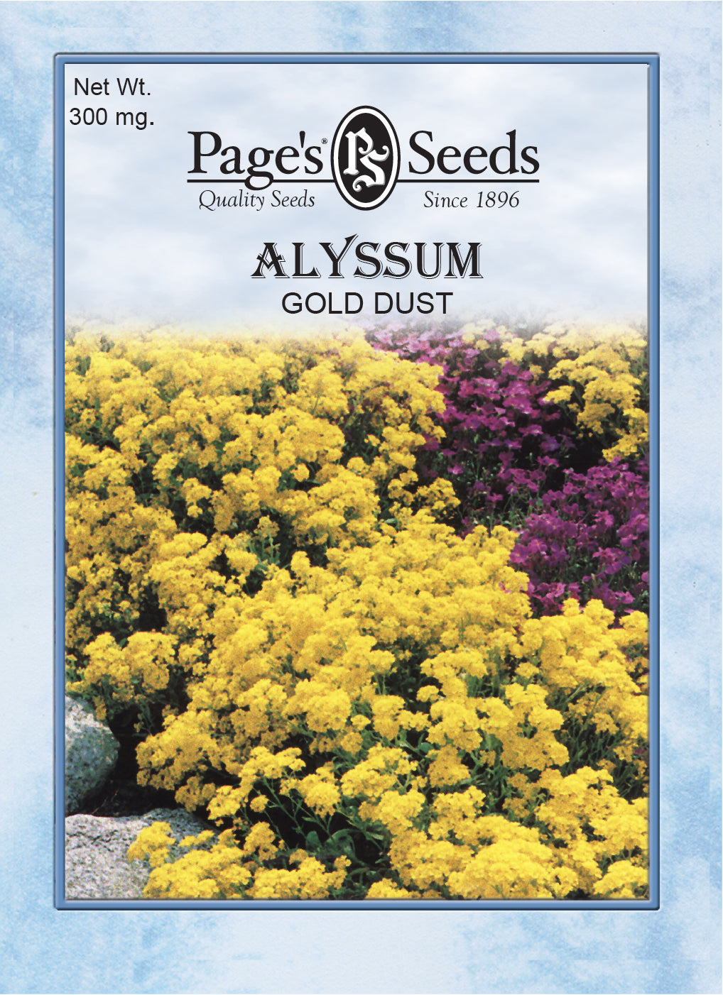Alyssum Gold Dust Seeds - 1 Packet