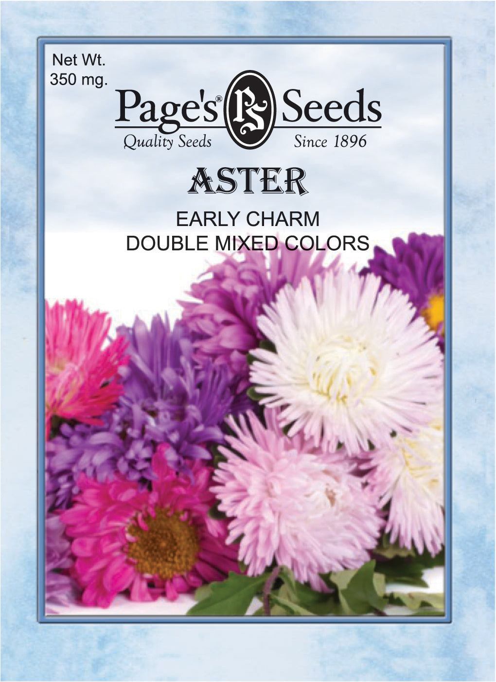 Aster Early Charm Double Mix Seeds - 1 Packet
