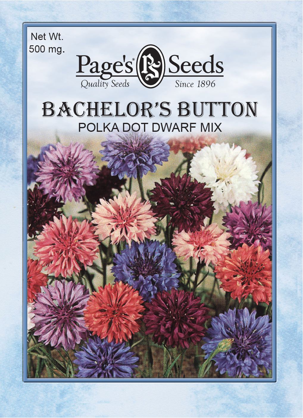 Bachelor’s Button, Polka Dot Dwarf Mix Seeds - 1 Packet