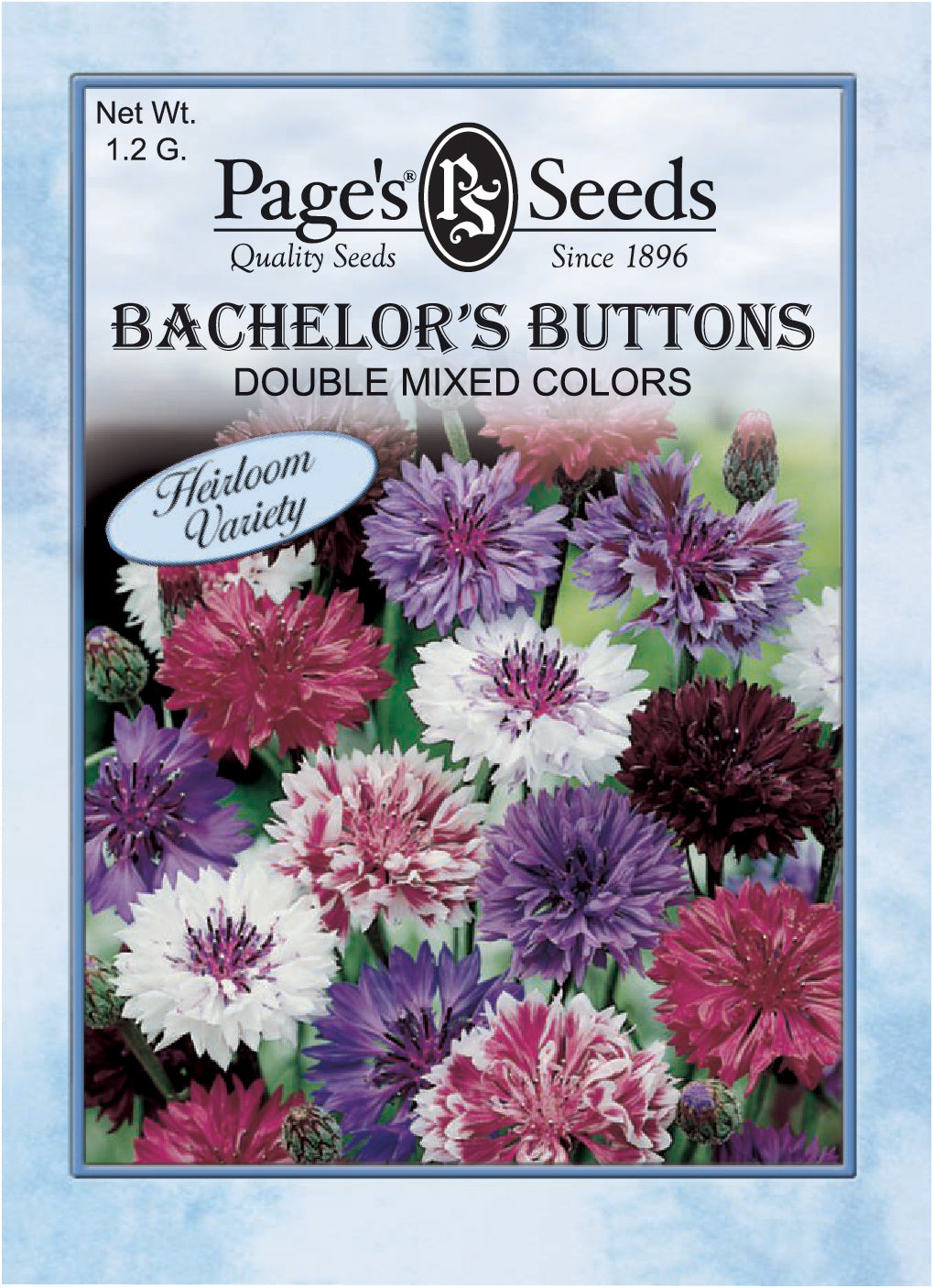 Bachelor’s Button, Double Mix Seeds - 1 Packet