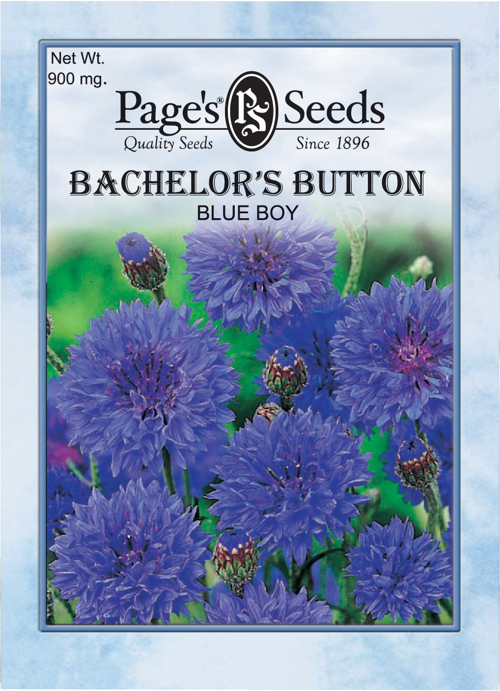 Bachelor’s Button, Blue Boy Seeds - 1 Packet