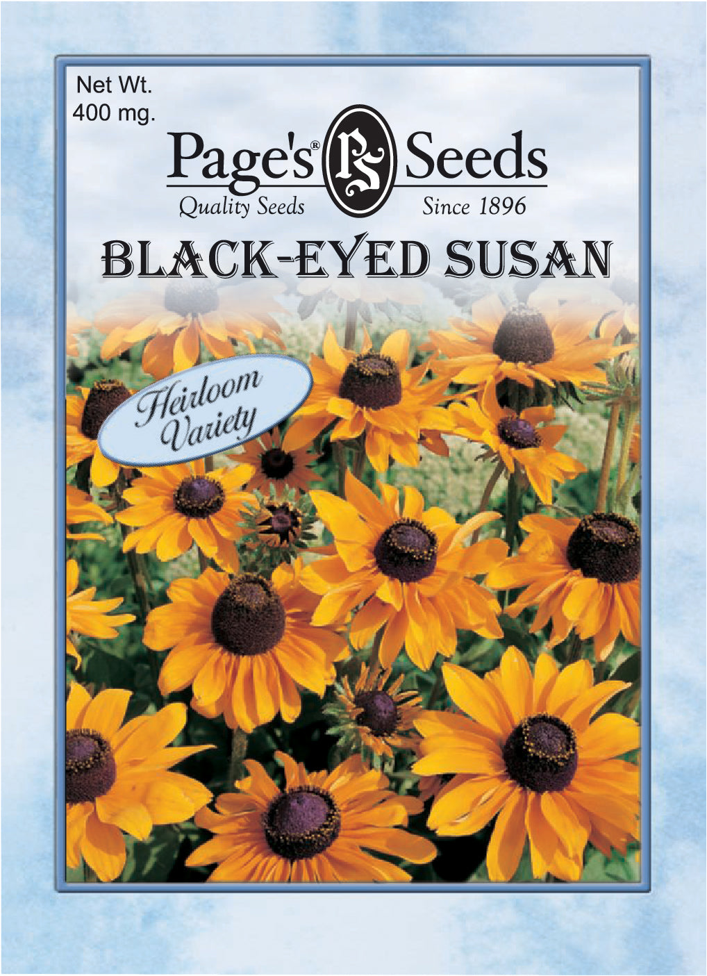 Blackeyed Susan Seeds - 1 Packet