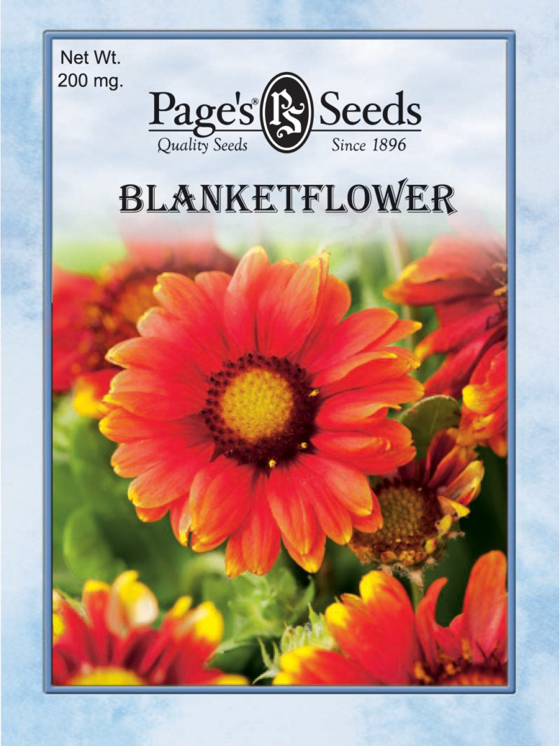 Blanket Flower Seed - 1 Packet